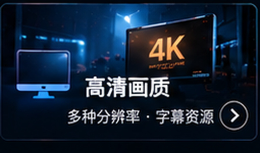 avnight高清画质字幕资料
